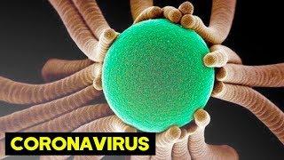 10 Deadliest Viruses In The World