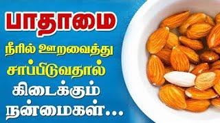 நீரில் ஊரவைத்த பாதாம் சாப்பிட நன்மைகள் / Top 10 Health Benefits Of Soaked Almonds (Badam) Tamil