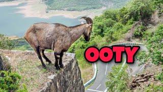 Top 10 Tourist Place In OOTY