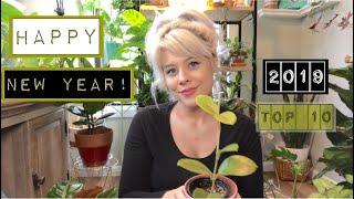 Top 10 Plants of 2019 | Happy New Year