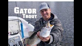 GIANT Gator Speckled Trout in the Winter - ft. Top winter baits, lures and HOW TO
