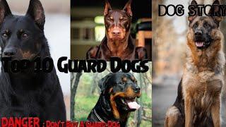 Top 10 Guard Dogs | Information in Tamil | Dog Story.