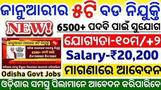 Top 5 Govt job vacancy in January//Odisha govt jobs//Odisha job updates //10th pass jobs//Odisha job