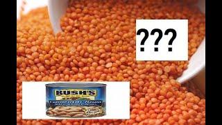 Top 10 Types Of Beans! YOU WON'T BELIEVE WHAT'S AT NUMBER 1!!!