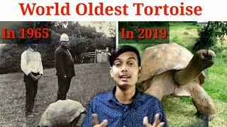 World Oldest Tortoise |10 Amazing Random facts | Fact Darbar