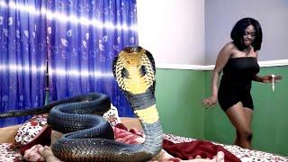 The Giant Snake Ritualist And The Unfortunate Beautiful Prostitute -African 2020 Nigerian New Movies