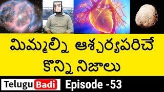 Top 10 Interesting Facts in Telugu You Never Know | Unknown and Amazing Facts | Episode - 53