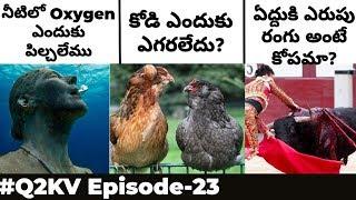 Top 10 Interesting and Unknown Facts In Telugu | #Q2KV Episode-23 | KranthiVlogger