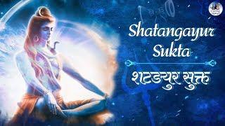 Shatangayur Sukta - The Wish Fulfilling Mantra - Make Your Any Wish Come true | Lord Shiva Mantra