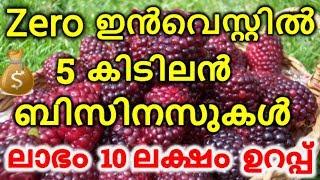 5 Zero investment Business ideas in kerala | New Top Business | Best Business ideas  | NSBK