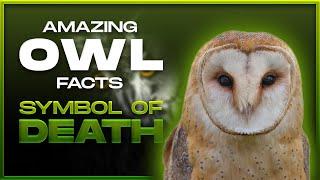 Top 10 Amazing Facts about OWL | Symbol of Death