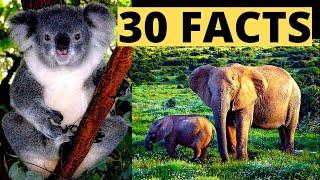 30 Interesting Facts | Amazing Facts