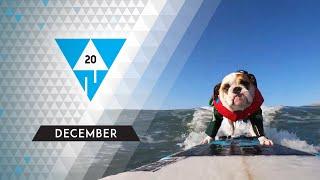 WIN Compilation DECEMBER 2020 Edition | Best videos of the month November