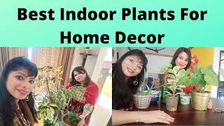 Top 10 Indoor plants for home || Low Maintenance Air purifying Houseplants