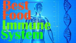 Top 10 Best Food for Boost Immune System