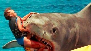 10 Worst Shark Attacks Ever Recorded