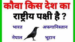 Top 10 Interesting gk question with answer | Gk question in hindi | Study Gk | #GK