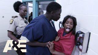 Beyond Scared Straight: You're Coming with ME: Top 8 Fights & Showdowns from Season 8 | A&E