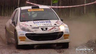 Best of Rally | The Ultimate Tribute | Class S2000