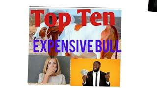 Top 10 expensive,biggest bull in the world#Abdul Sattar Online Lecture#