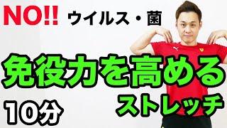 【10分】免役力を高めるストレッチでウイルス・菌に負けない体作り【動的ストレッチ】