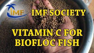 How to add Vitamin C in Fish Feed - IMF Society