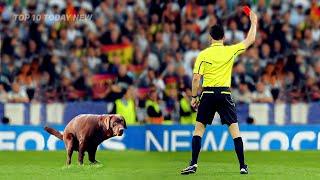 Rare Funny Moments of Soccer Referees | Top 10 Today NEW