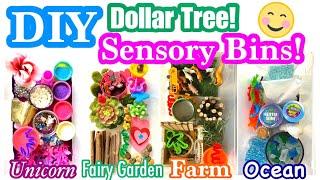 DIY Sensory Bins | Dollar Tree Kids