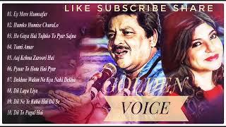 Udit Narayan & Alka Yagnik Top 10 Hit Song HD Quality Audio Jukebox...