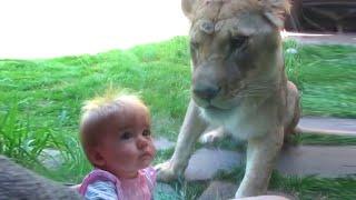 Forget CATS and DOGS! Hilarious KIDS vs ZOO ANIMALS are SO FUNNIER! 