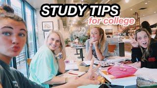 Top 10 study Tips for College VLOG | nursing school