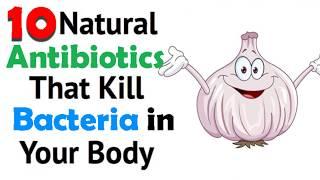 Top 10 Natural Powerful Antibiotics For Your Body