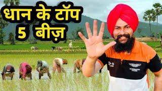 धान की टॉप 5 वैरायटी(देसी हाइब्रिड बासमती) Top Paddy Variety of Permal, Hybrid & Basmati in india