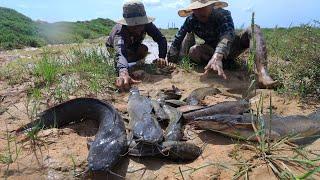 Top Videos Fishing 2020 | Viral Videos Fish Catch Giant Catfish by Hand in Muddy in Cambodia