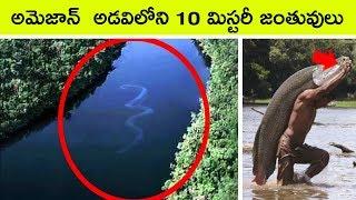 Top 10 Deadliest River Monsters of the Amazon | Bmc facts | Telugu