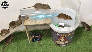 amazing idea - Membuat perangkap tikus mudah | | Top 10 piège à souris électrique