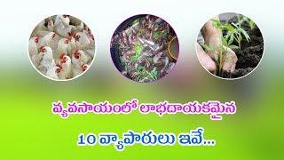 Top 10 organic farming business in Telugu | Indian famous Agriculture 10 business