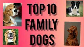Top 10 Family Dogs | pet dogs | Rank