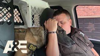 First and Only K9 Handler at Whitfield County Sheriff's Office | America's Top Dog (Season 1) | A&E