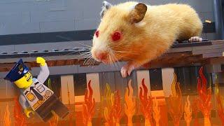 Top 10 Lego Hamster Stop Motion Movies | Lego Stop Motion | Brick Rising