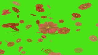 Failling flowers green screen effects | failling flowers animation | failling background.vol-1