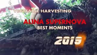 Top-lifting vegetable harvester WEREMCZUK 2019; CASE, JOHN DEERE, CLAAS