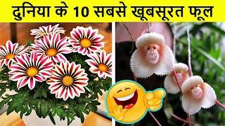 Most Beautiful and Strange Flowers of the World | दुनिया के 10 सबसे खूबसूरत फूल