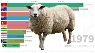 Top 10 Sheep Stocks (head) Countries from 1961 | FAO DATA