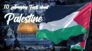 Top 10 Facts About Palestine | Prophets | Mix of Religions | Conflicts | Xeero Point