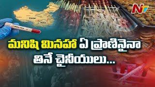 చైనా వాళ్ళు తినే ఆహారం ఏంటో తెలిస్తే షాక్ అవుతారు: Shocking Facts in China Food Habits | NTV