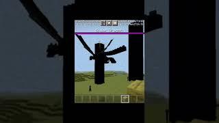 2 Minecraft Glitch /#minecraft #shorts