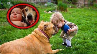 Top 10 Dogs Protectes Kids & Babies About Danger