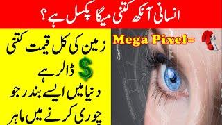 Most Amazing facts about Human eye | The Total Worth of Earth | Reality facts | Brain facts Must See