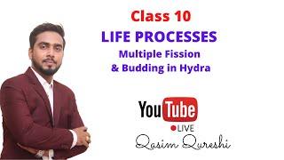 life processes in living organism  #class10 #multiplefission #budding #byqasimsir #bestexplanation